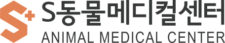 S동물메디컬센터 콘텐츠