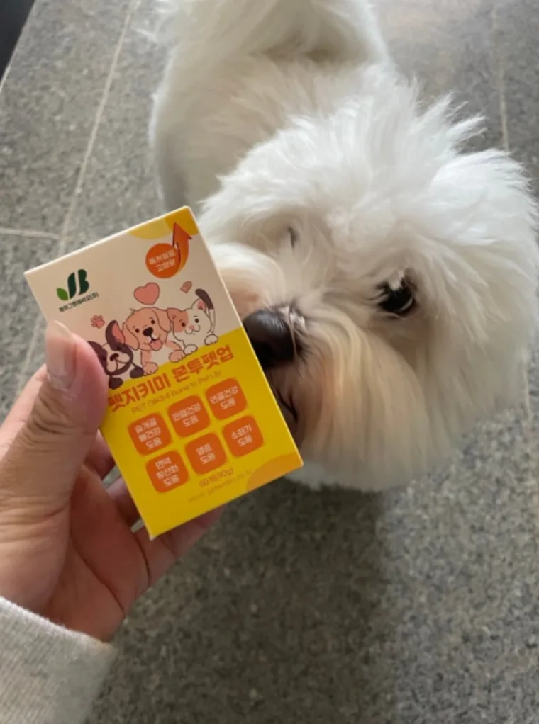 눈물자국이 호전됐어요