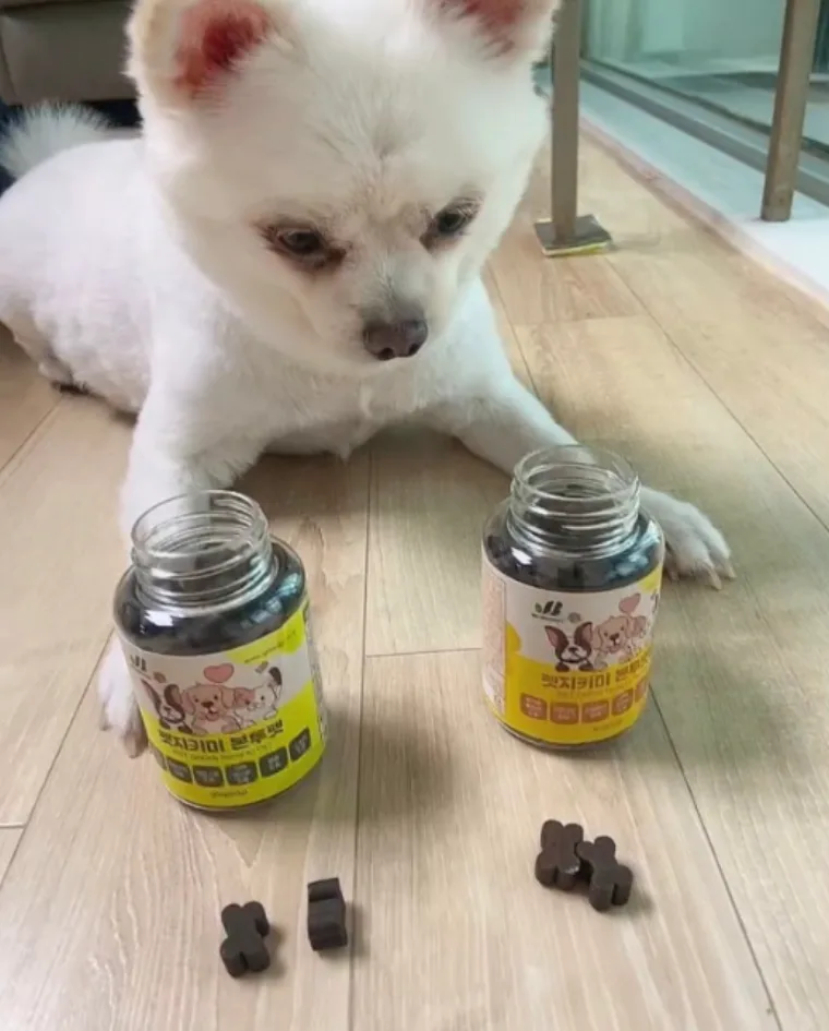 통만 꺼내도 뛰어와요