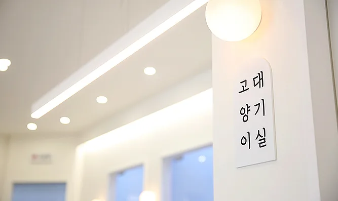 고양이대기실
