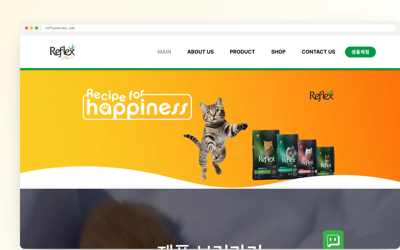 리플렉스마마 웹사이트 화면