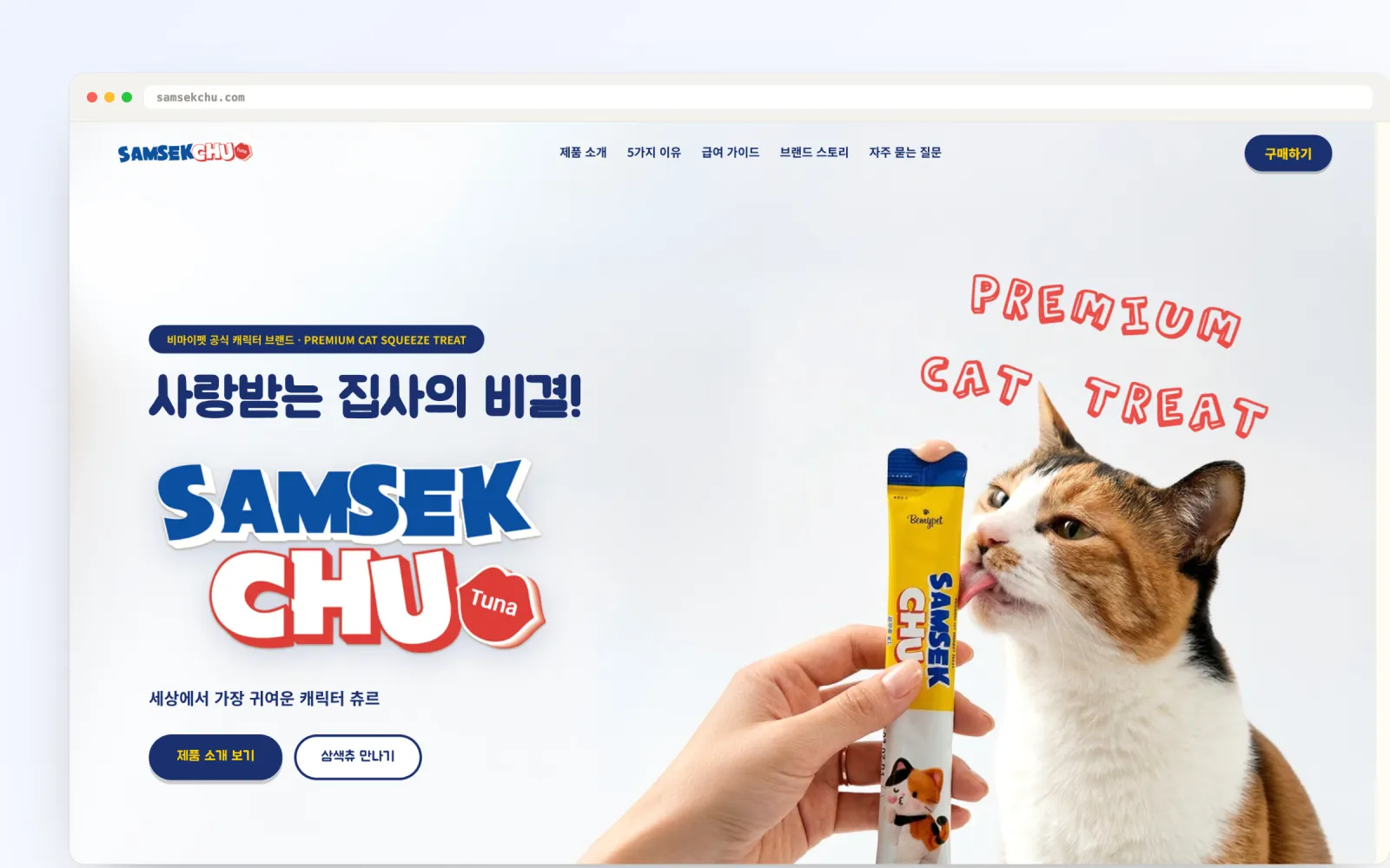 홈페이지·웹사이트 제작