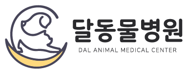 달동물병원