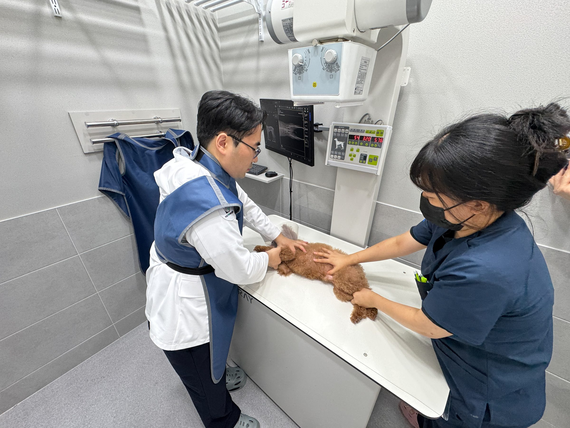 원장과 간호사가 X-ray 촬영을 위해 강아지 자세를 잡는 모습