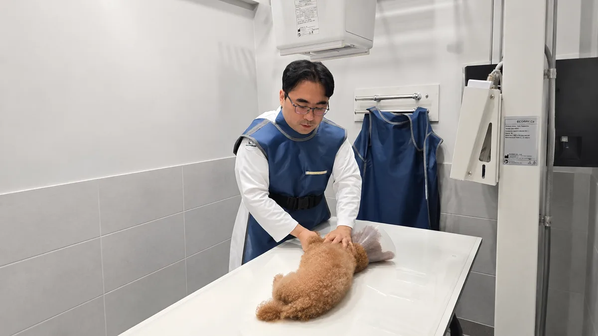 다온동물메디컬센터 원장 진료 모습