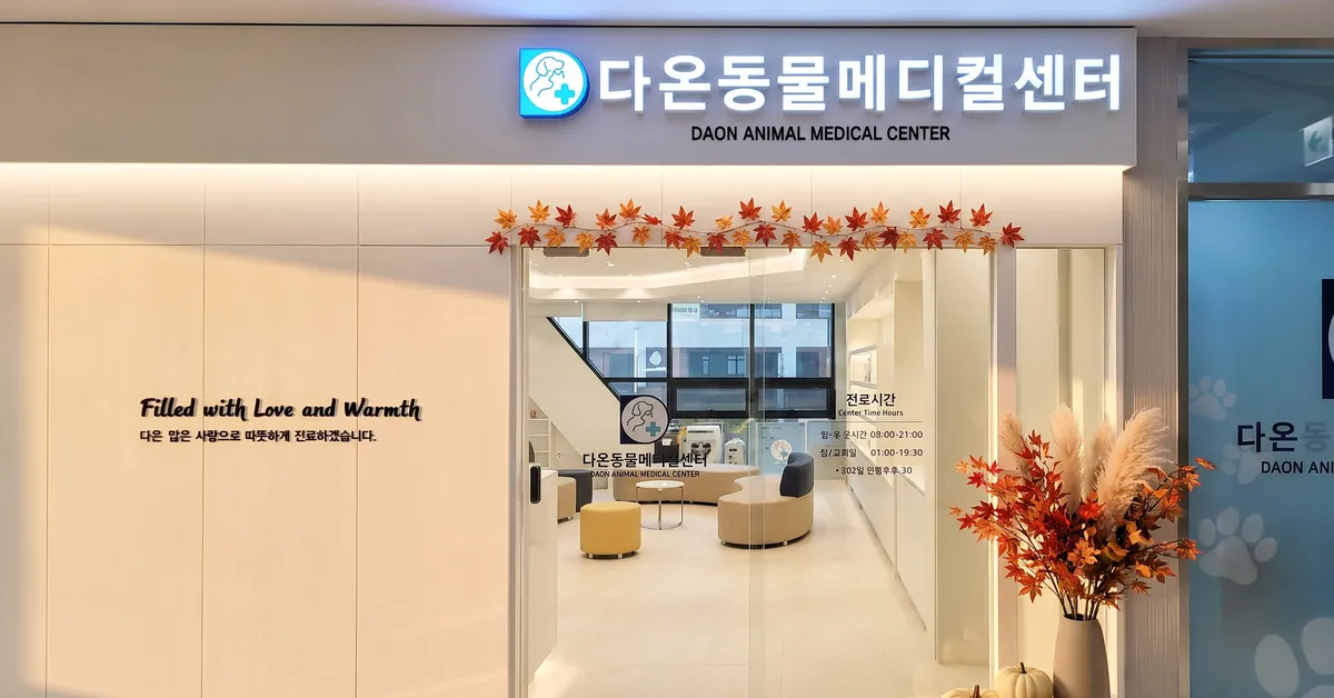 다온동물메디컬센터 입구와 로비