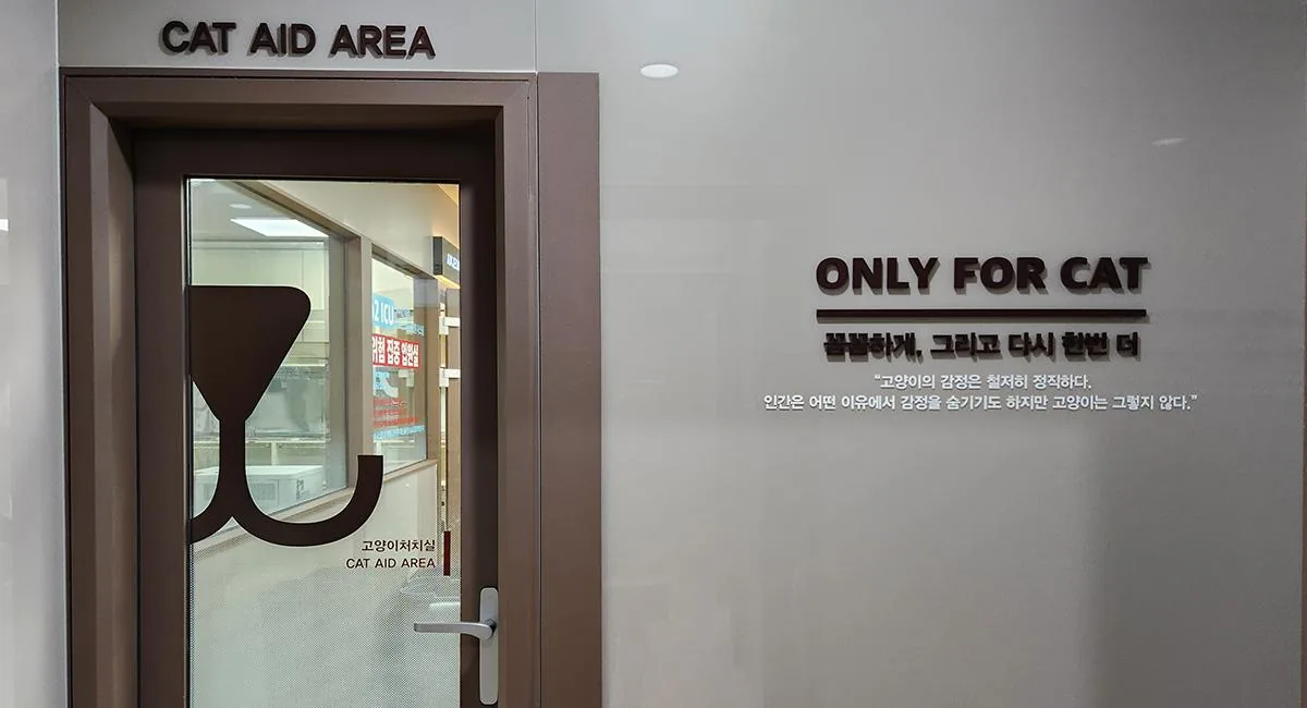 처치실/입원실