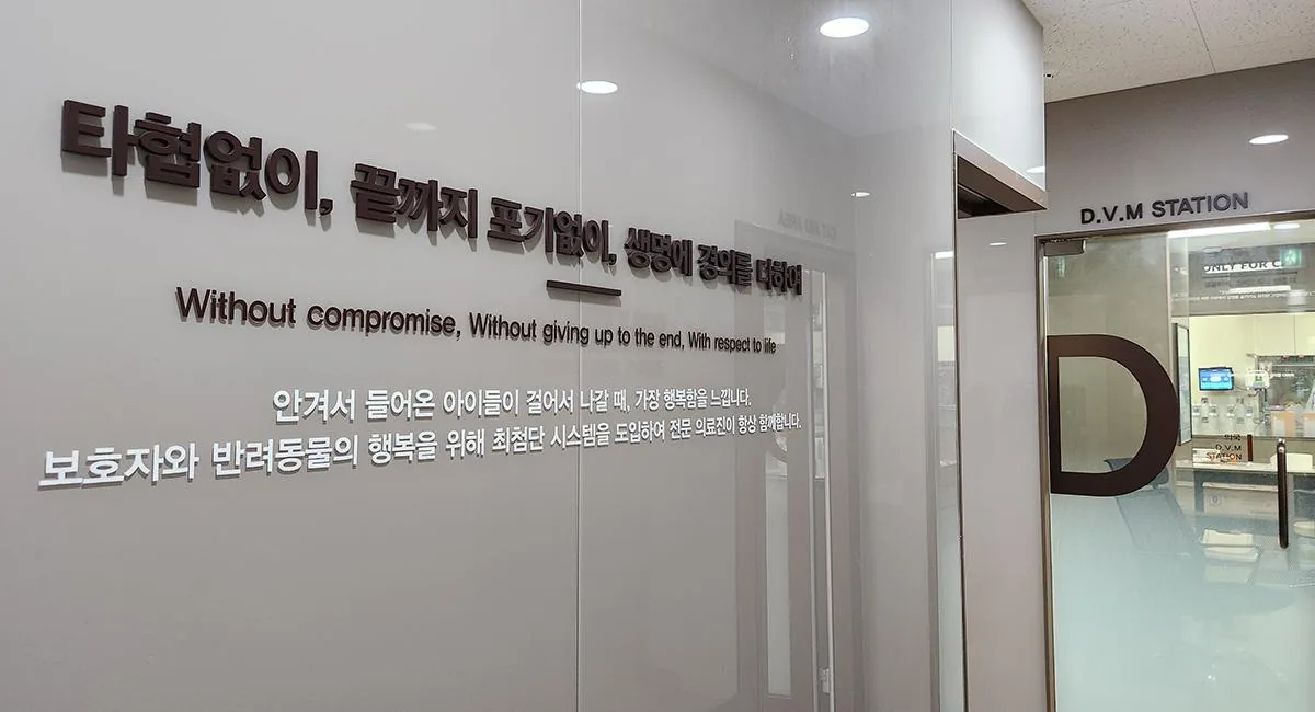 처치실/입원실