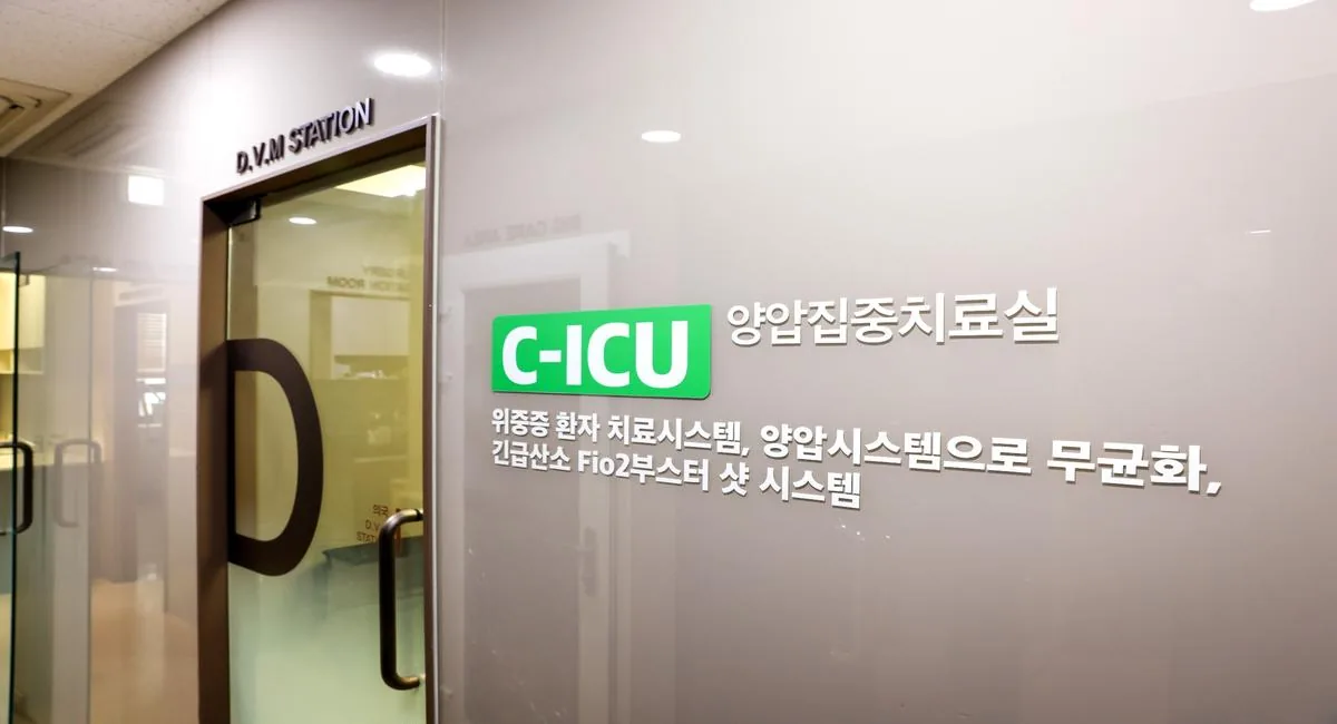 처치실/입원실