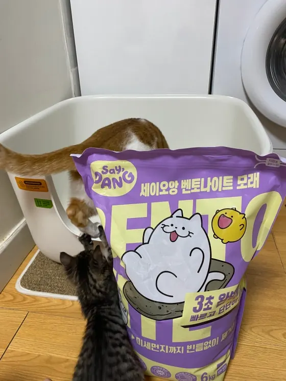 일반입자 세이오앙 벤토나이트 모래 — 비마이펫 구매 후기 사진