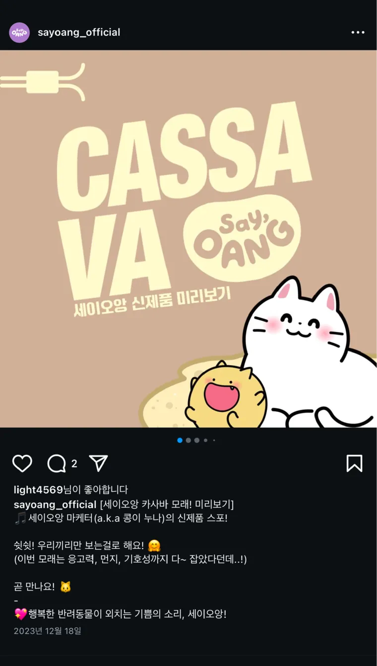 CASSAVA 신제품 미리보기