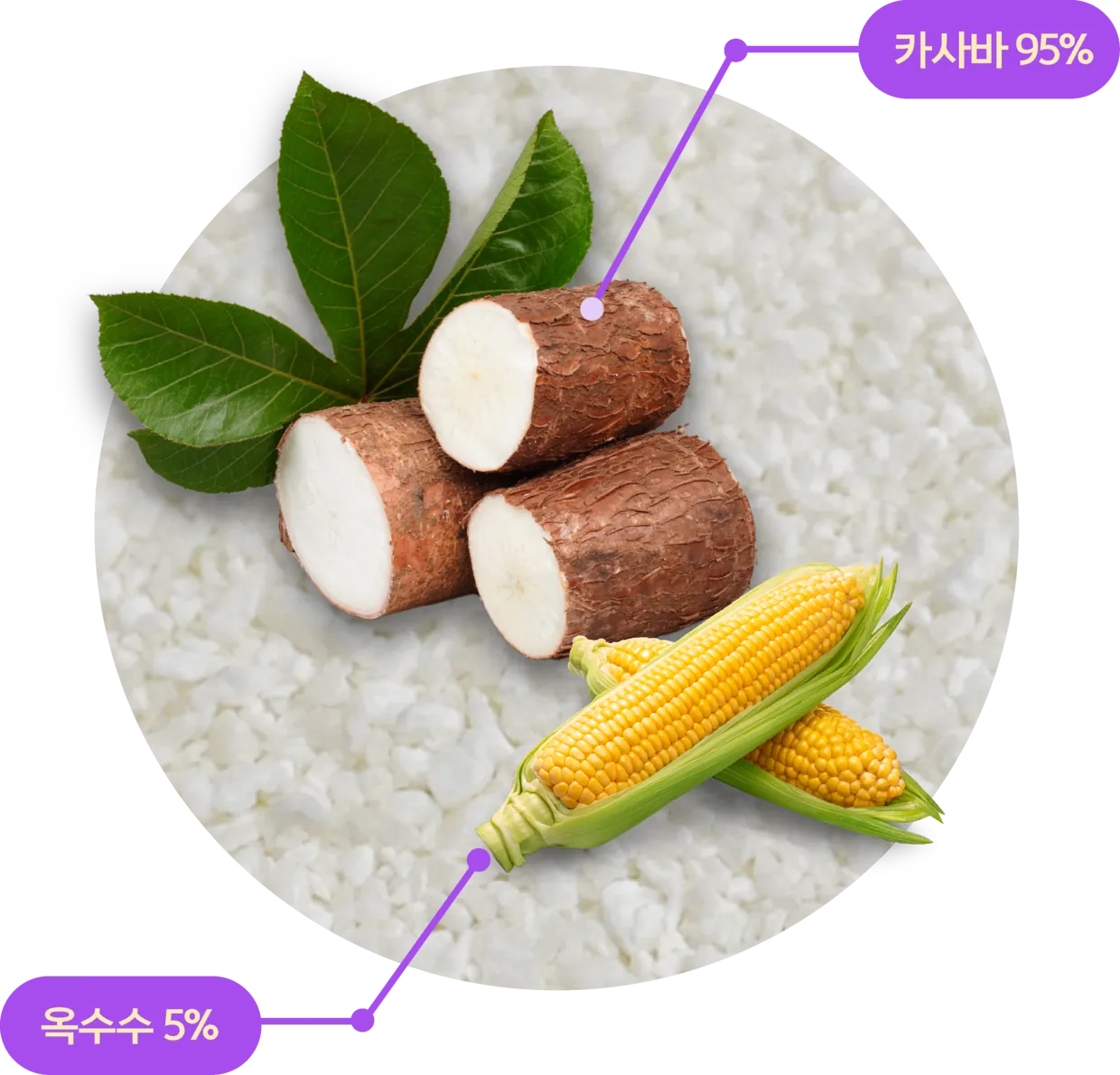 카사바 95%, 옥수수 5% 황금비율 블렌딩