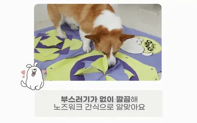 노즈워크 매트에서 간식을 찾는 강아지