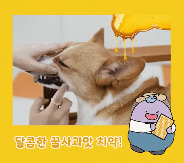 쫀쫀하게 흘러내리지 않는 꿀사과맛 프로폴리스 치약 제형