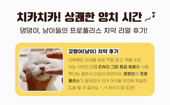 세이오앙 프로폴리스 치약을 사용하는 반려동물들의 리얼 후기