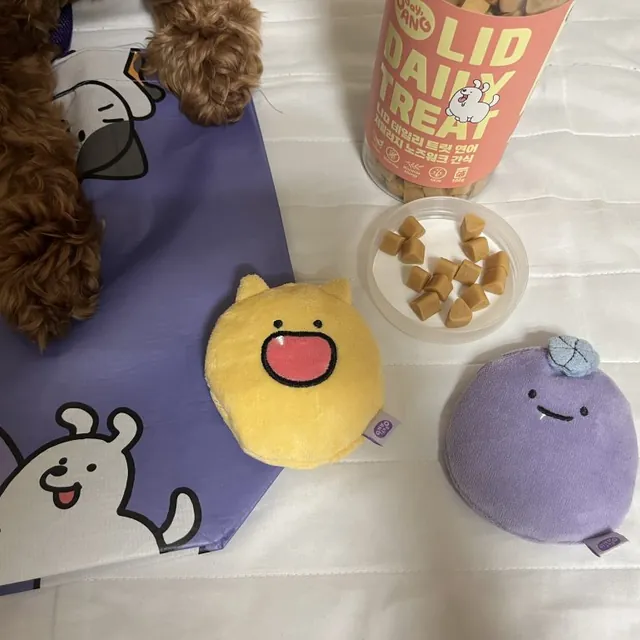 노즈워크 장난감과 연어 맛 LID 데일리 트릿 — 자사몰 구매 후기 사진