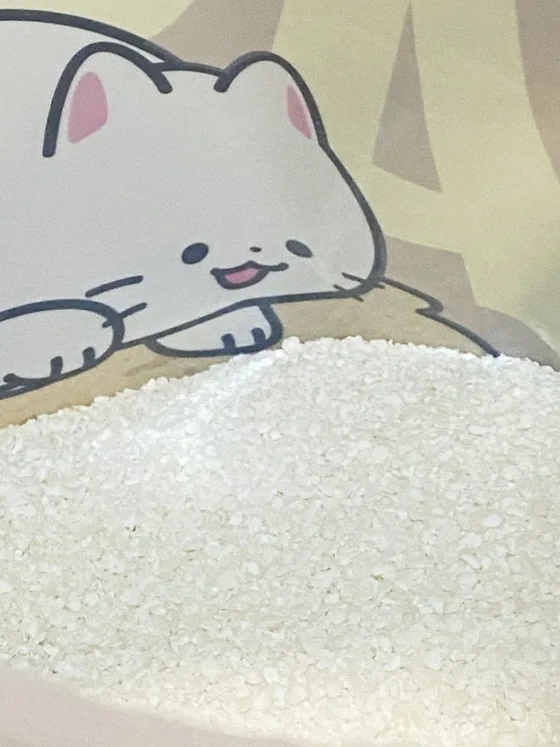 세이오앙 카사바 모래 실사용 고객 리뷰 사진