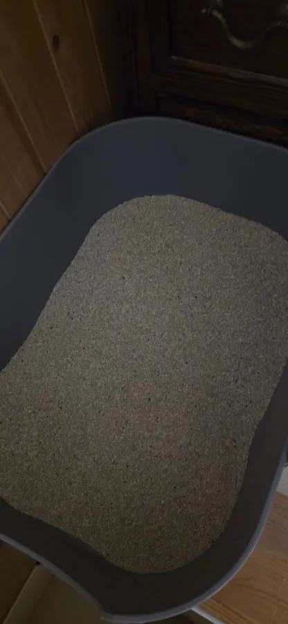 카사바 모래 실사용 후기