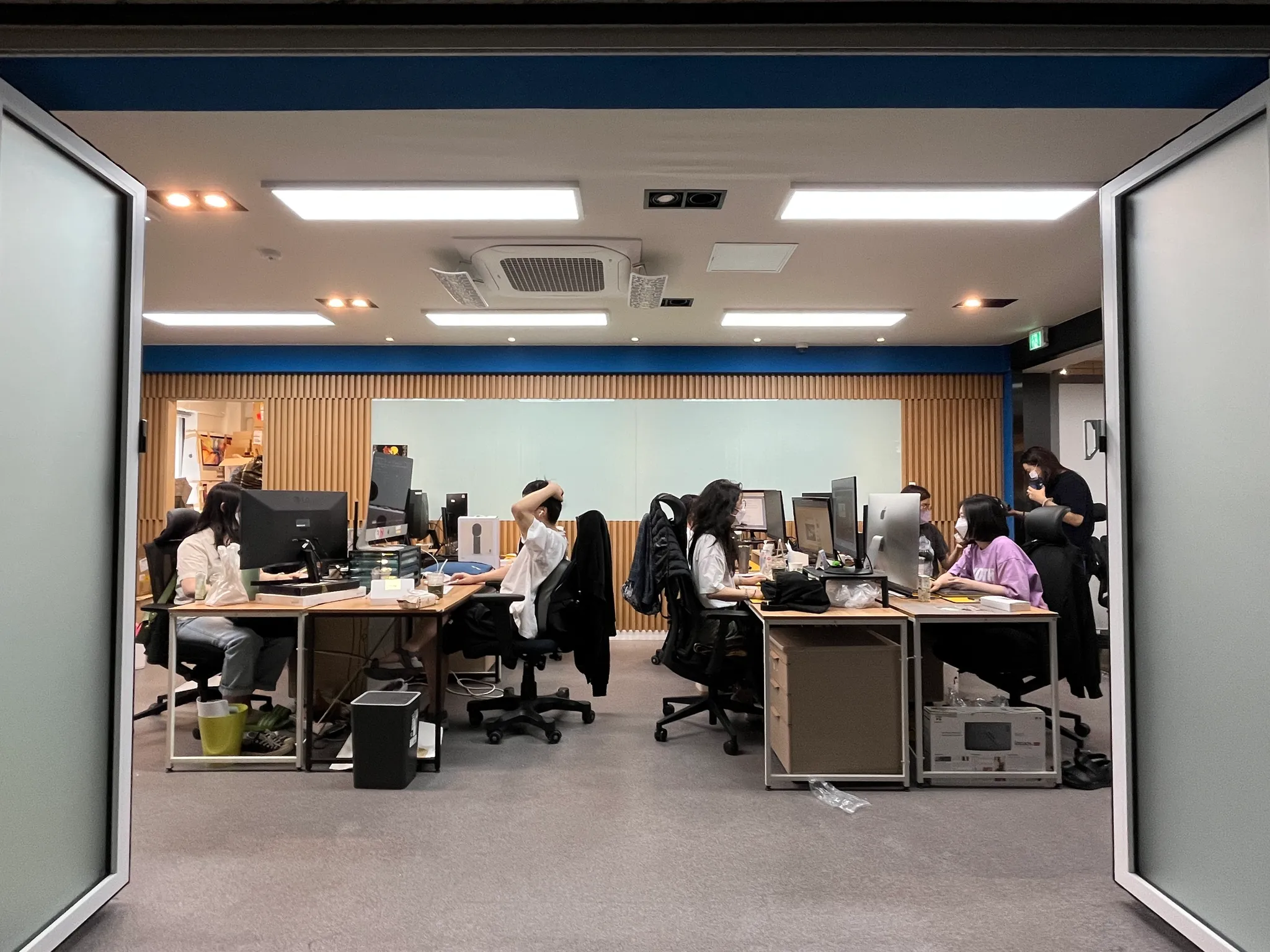 비마이펫 팀