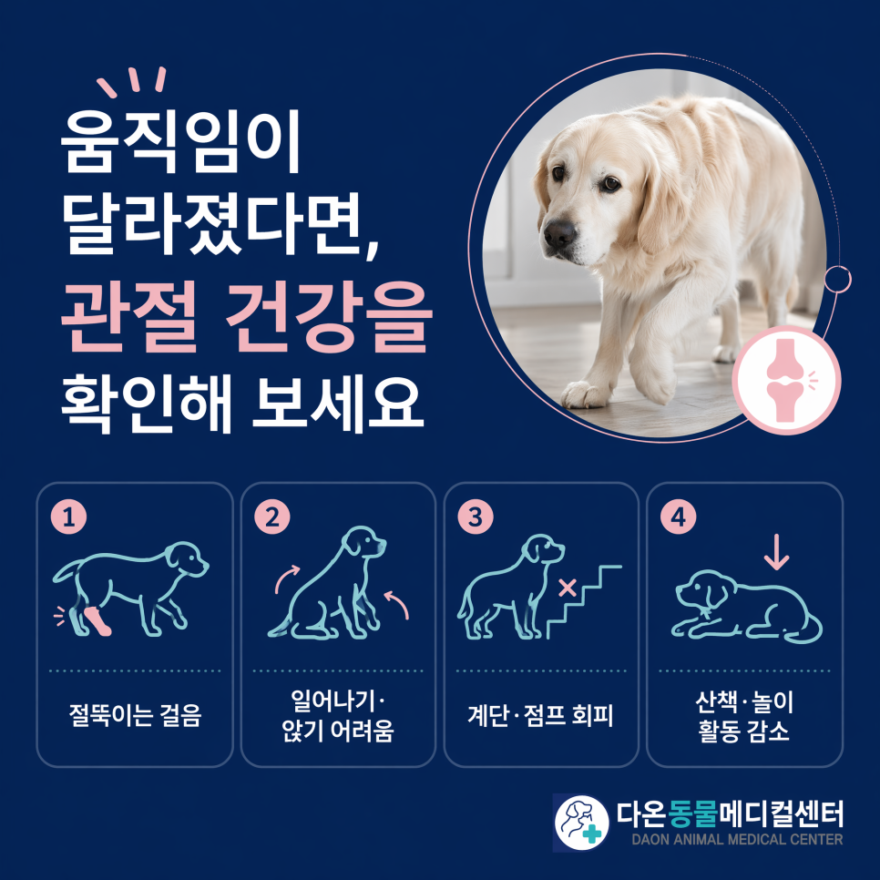 움직임이 달라졌다면 관절 건강을 확인해 보세요