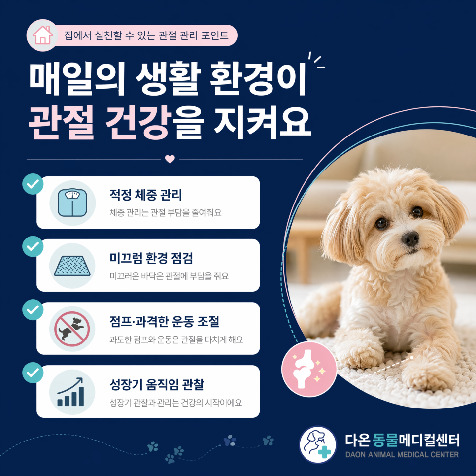 매일의 생활 환경이 관절 건강을 지켜요