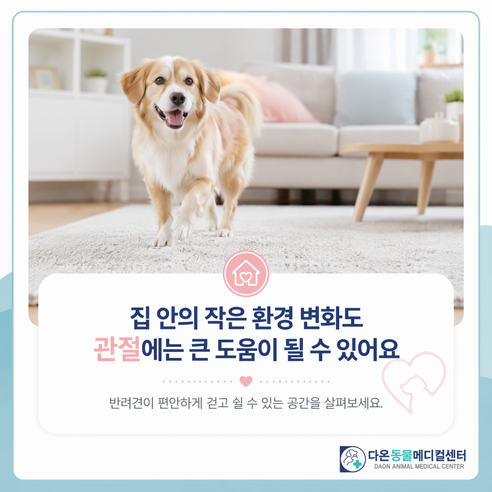 집 안의 작은 환경 변화도 관절에는 큰 도움이 될 수 있어요